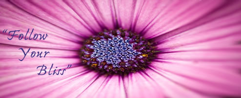 purple-flower